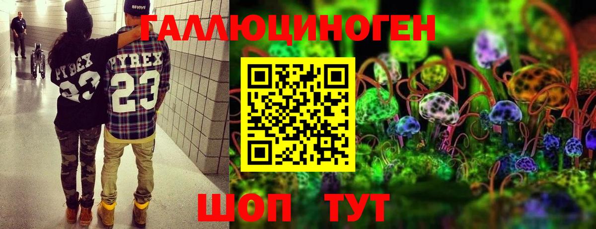Псилоцибиновые грибы мицелий Нефтекумск