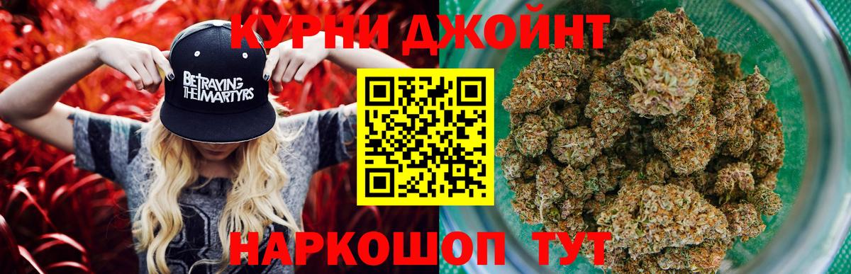 Канабис OG Kush Нефтекумск